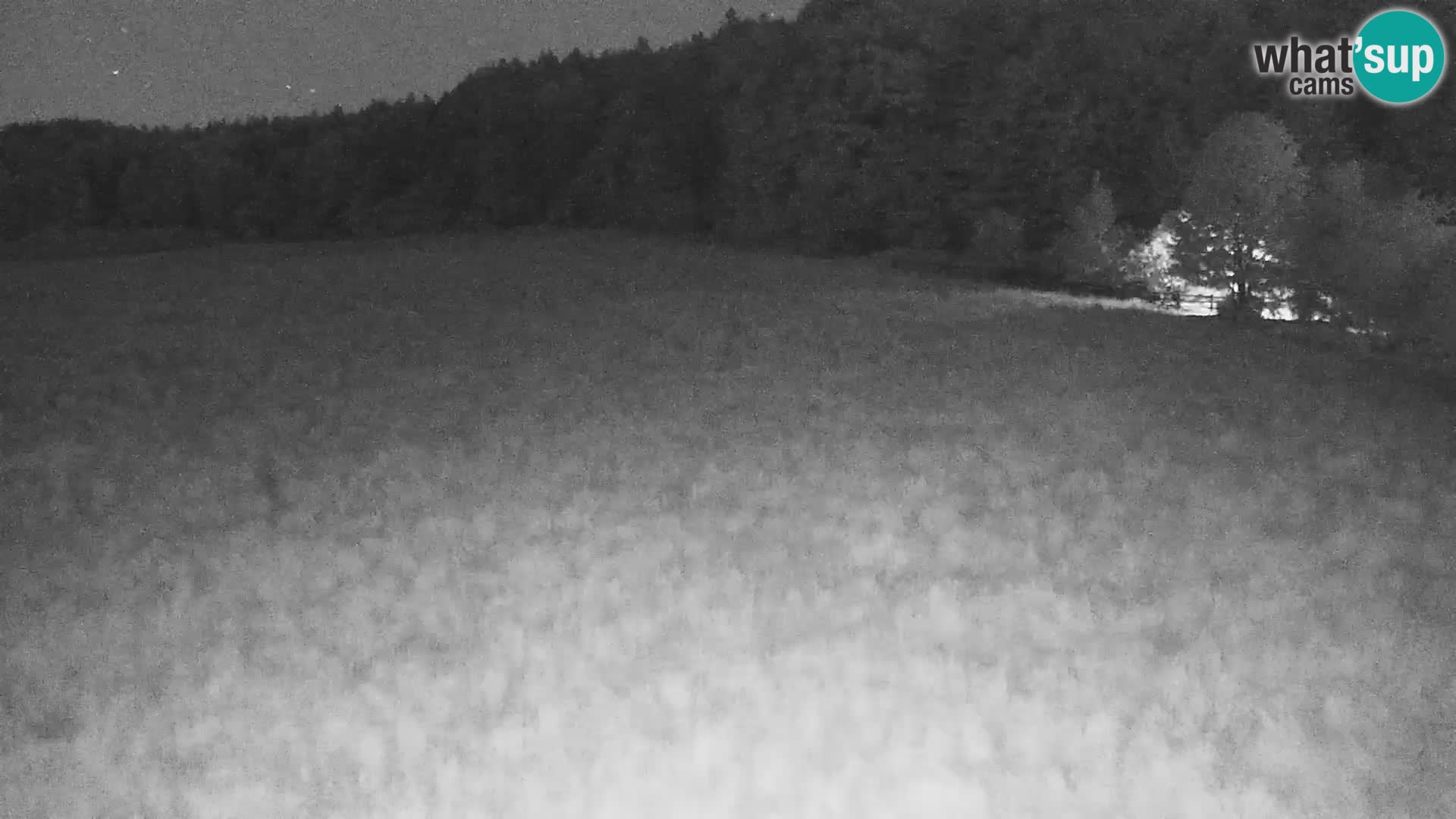 Le nordic center Bonovec – Live webcam