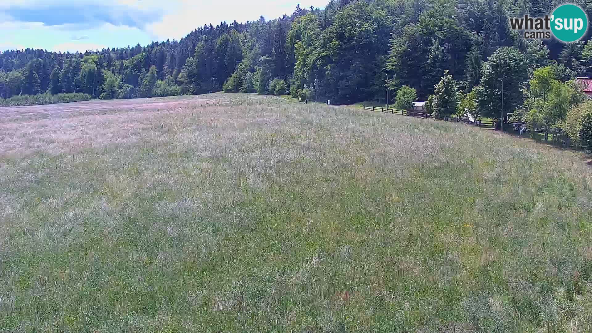 Web kamera Nordijski centar Bonovec