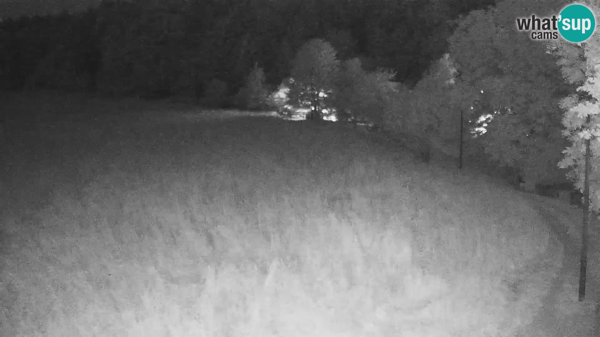 Live webcam Nordic center Bonovec – Medvode