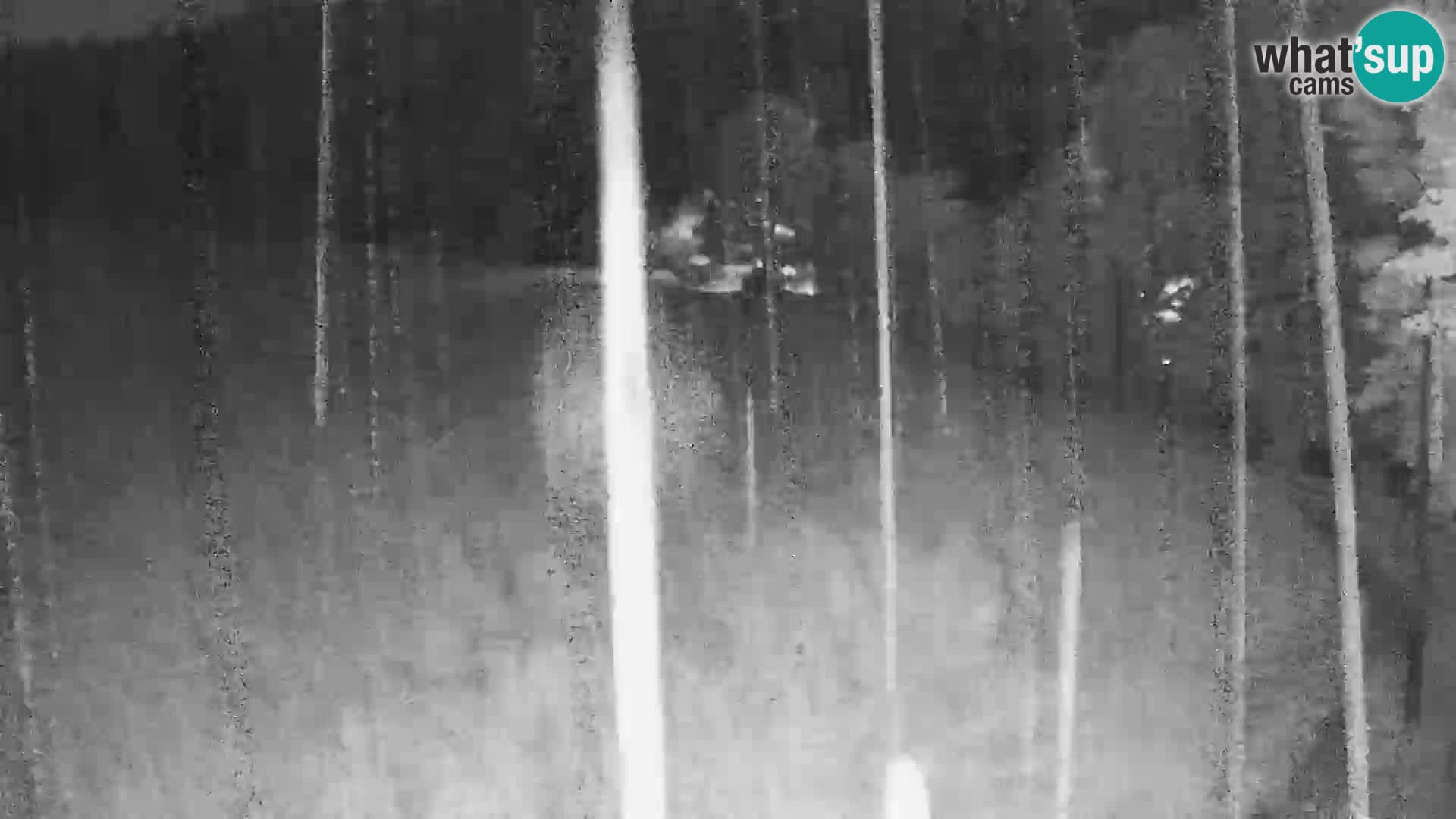 Webcam Live Nordic center Bonovec – Medvode