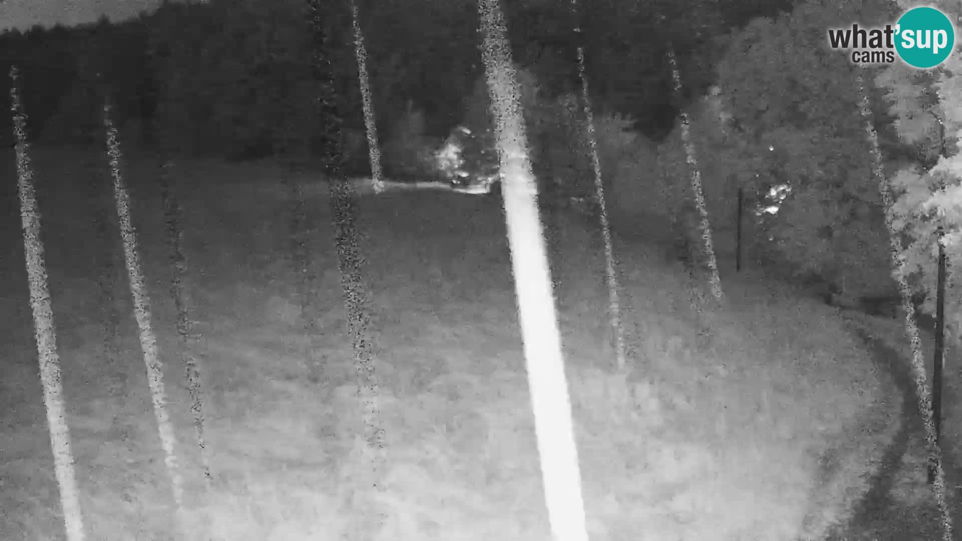 Le nordic center Bonovec – Live webcam