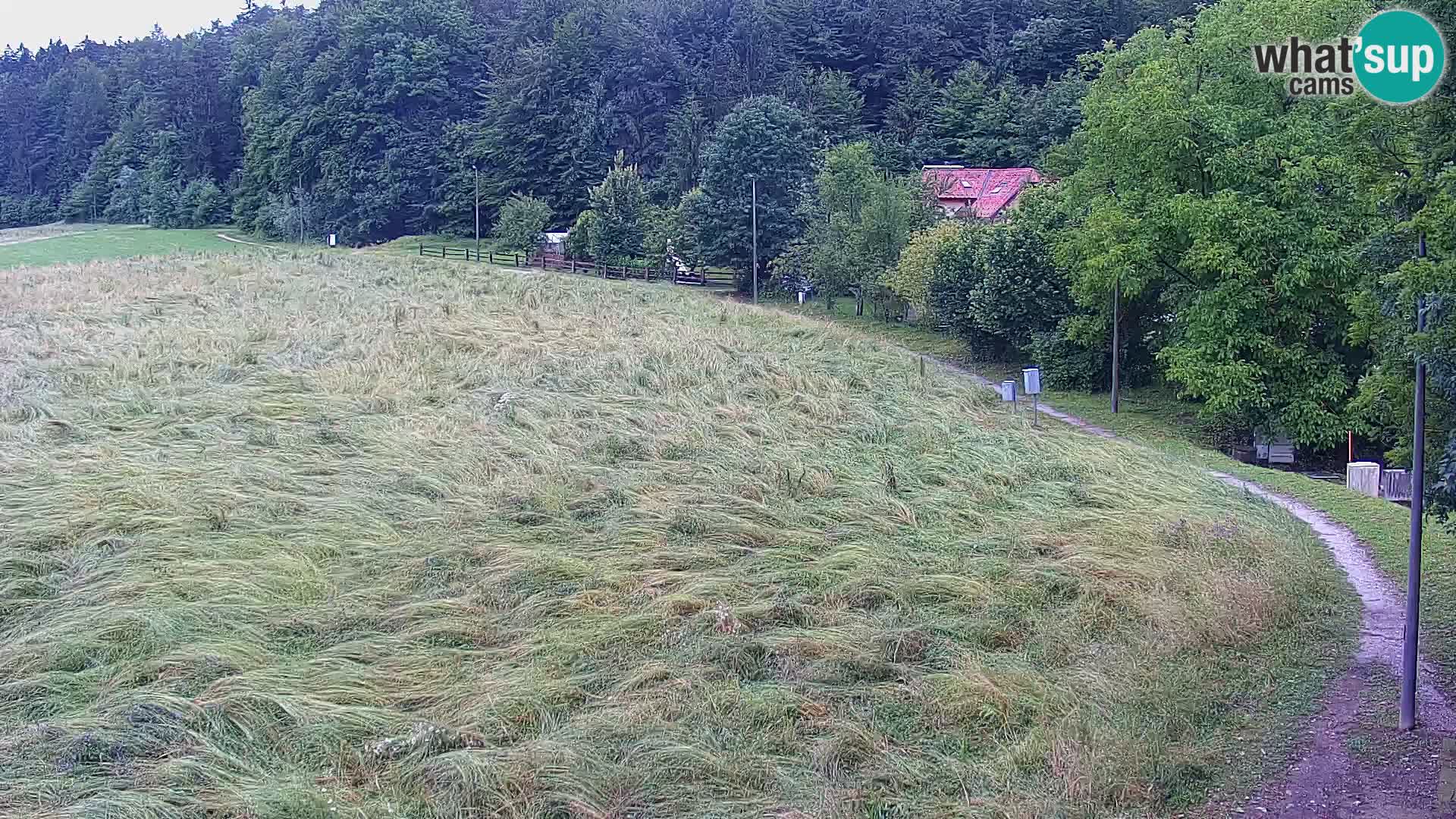 Web kamera Nordijski centar Bonovec