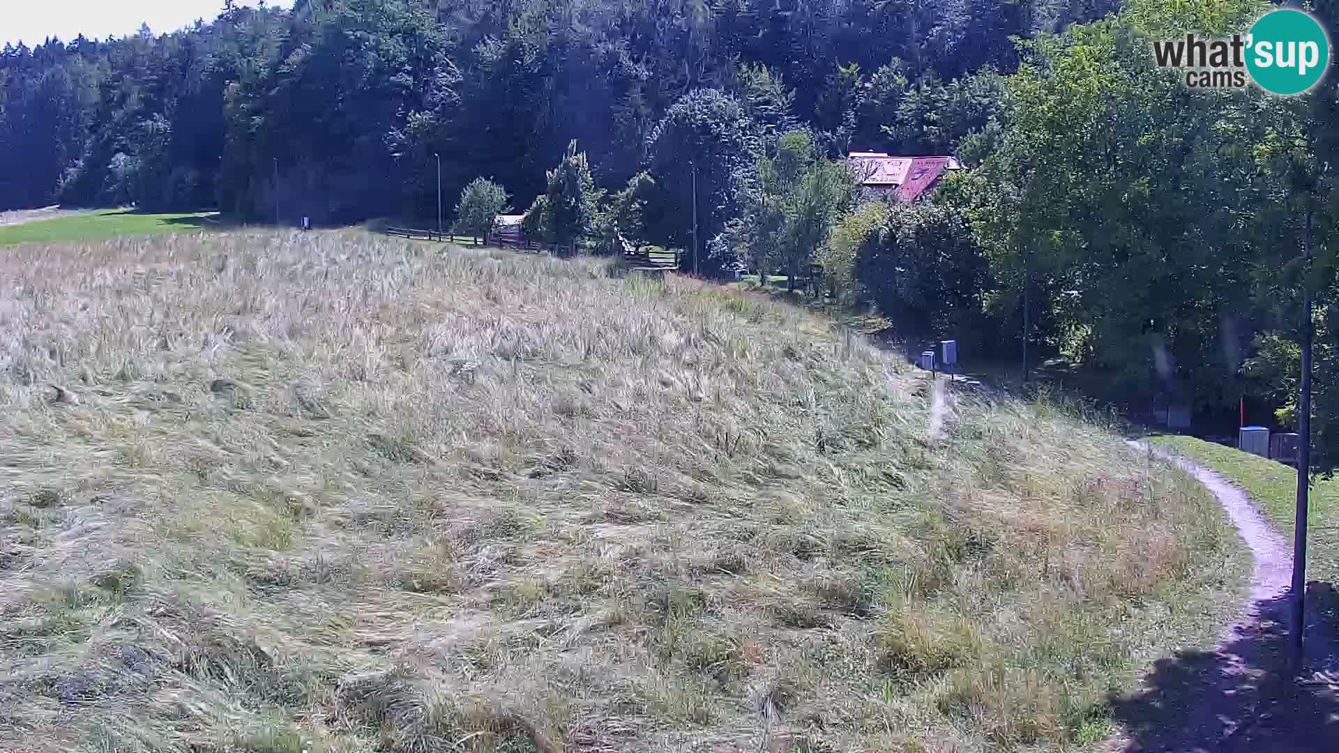 Spletna kamera Nordijski center Bonovec