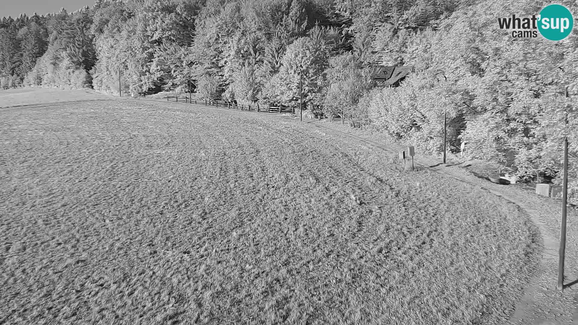 Nordic Centre Bonovec – camera en vivo