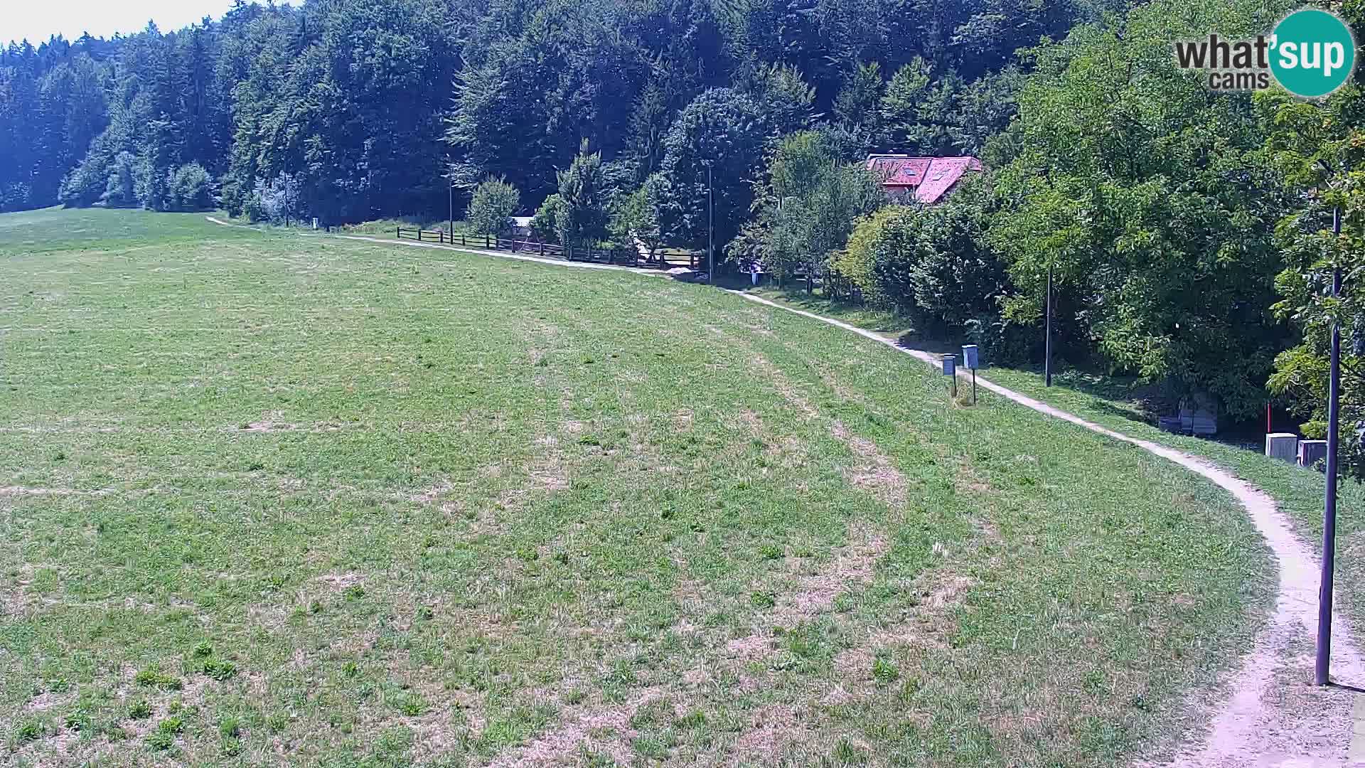 Live webcam Centro sci nordico a Bonovec