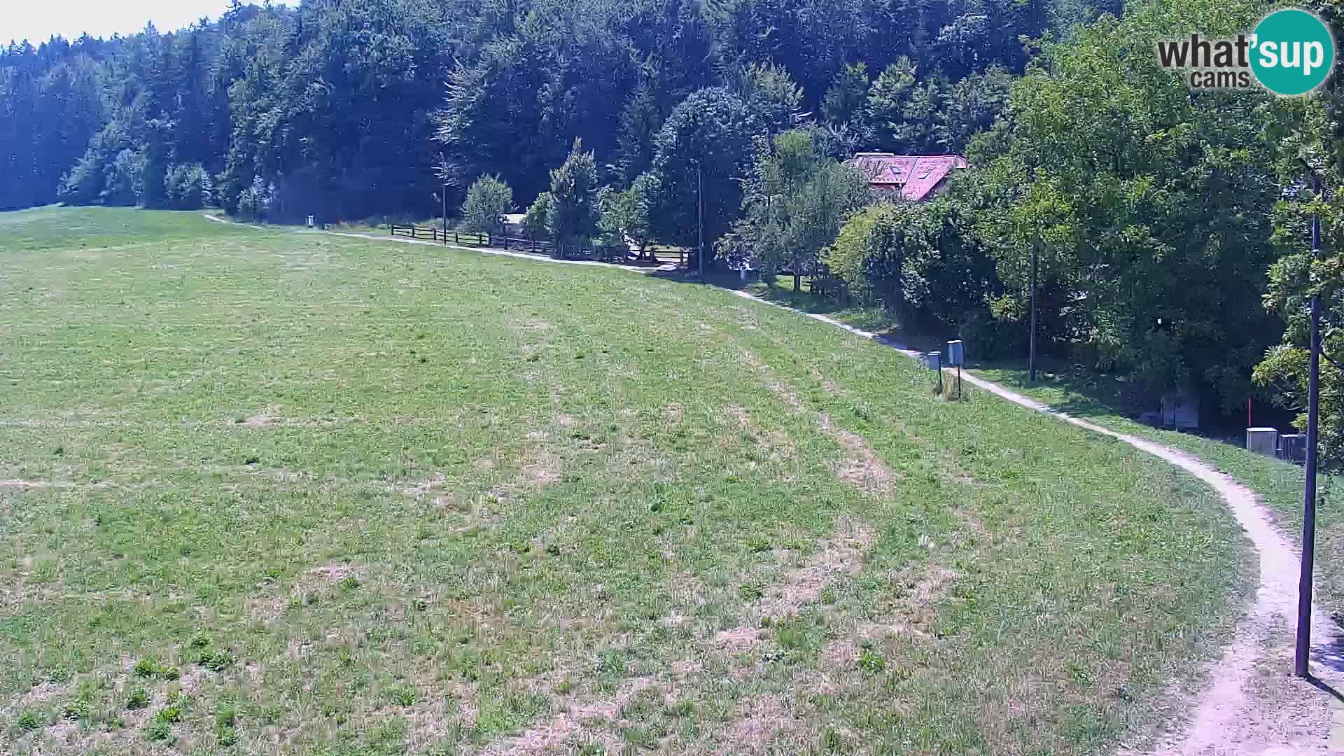 Le nordic center Bonovec – Live webcam