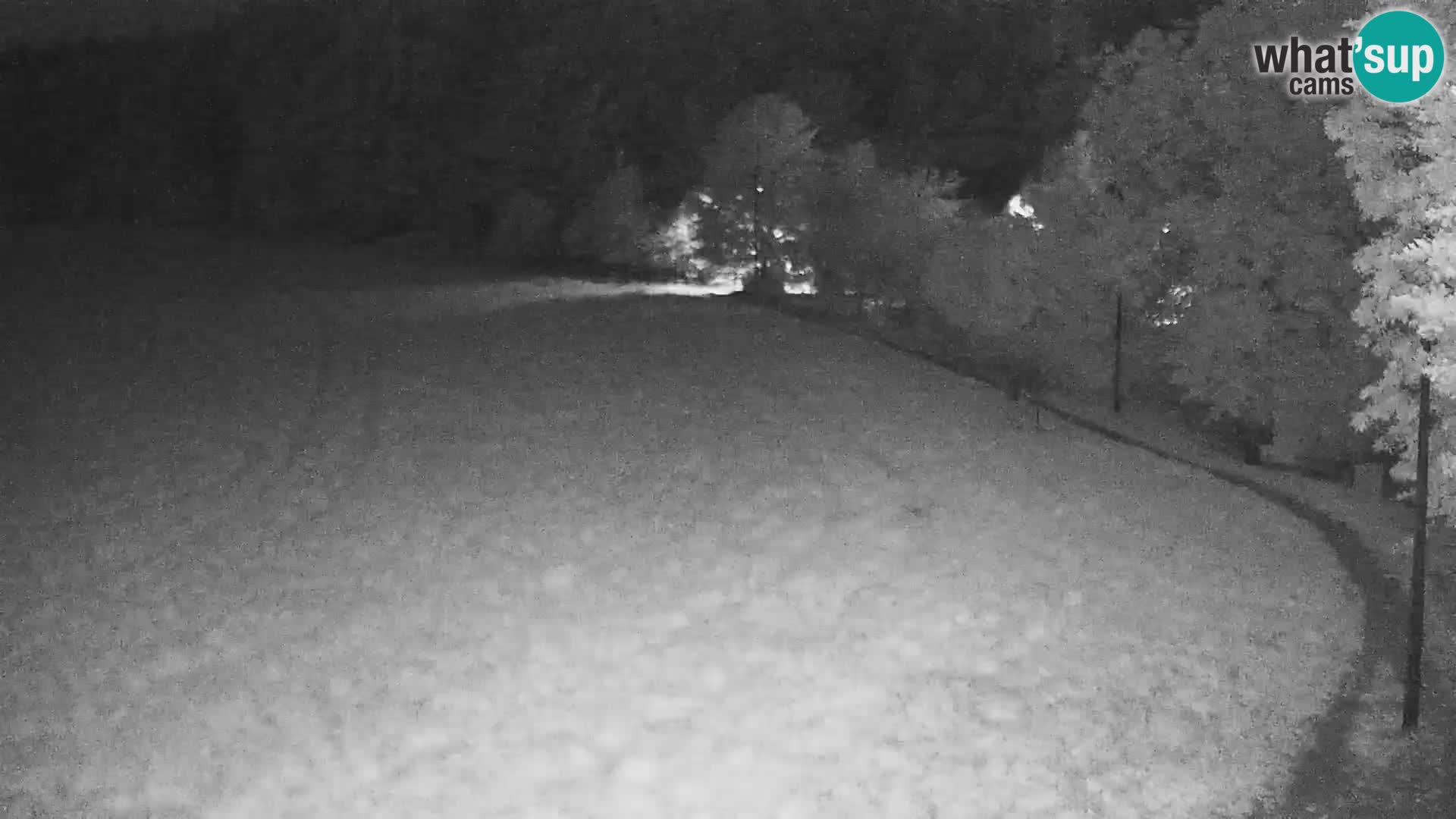 Webcam Live Nordic center Bonovec – Medvode