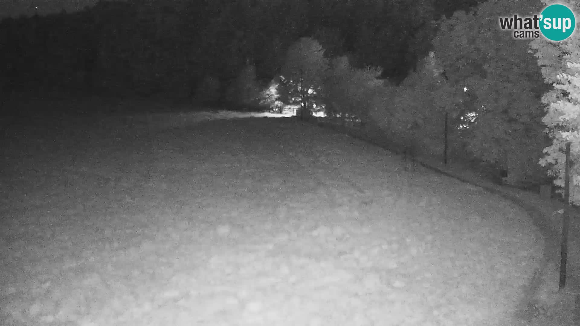 Live webcam Centro sci nordico a Bonovec