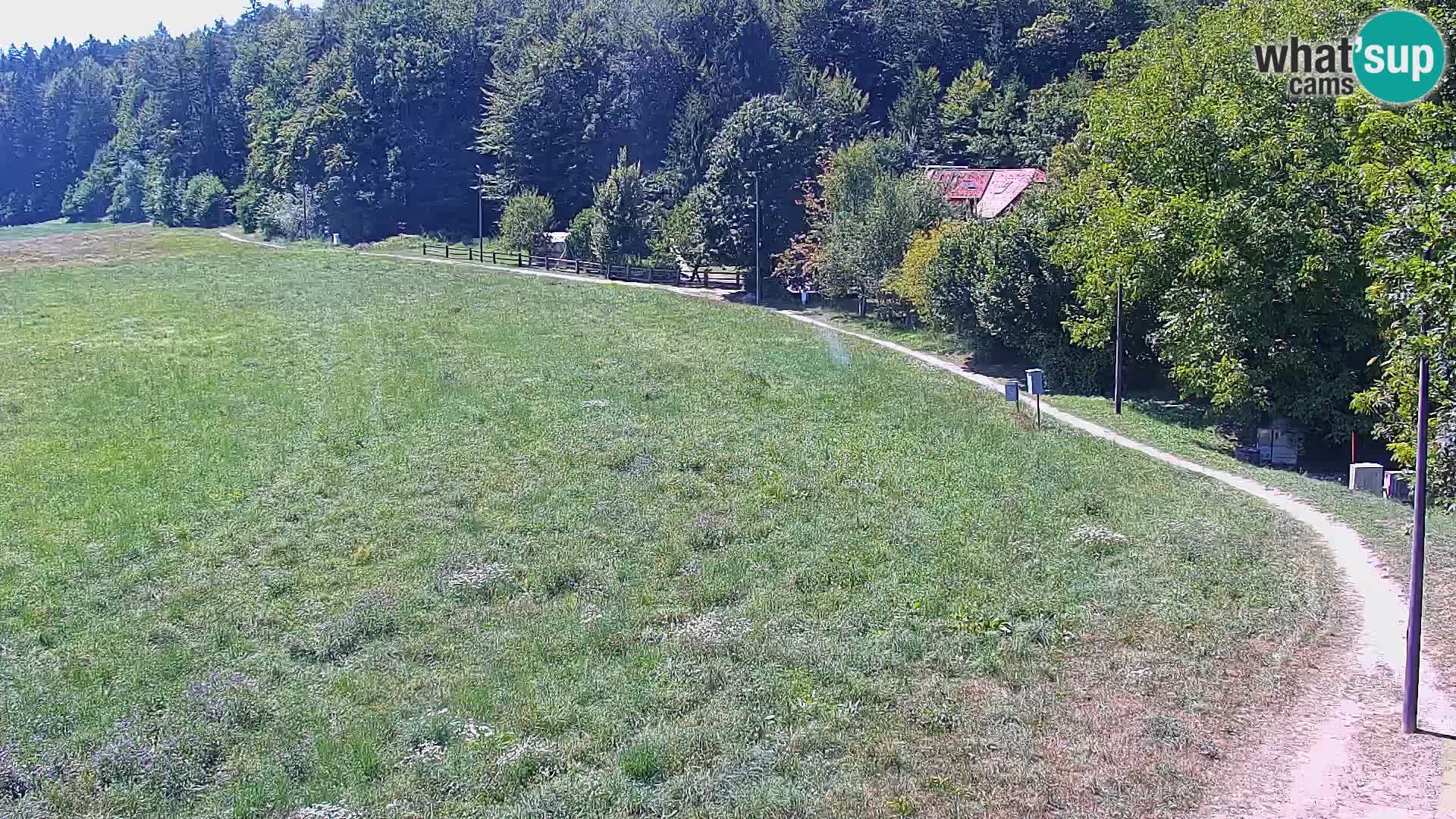 Le nordic center Bonovec – Live webcam