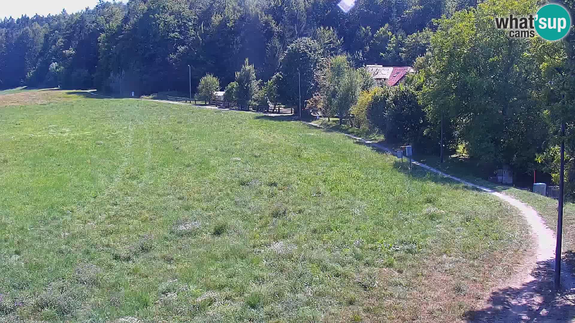 Webcam Live Nordic center Bonovec – Medvode
