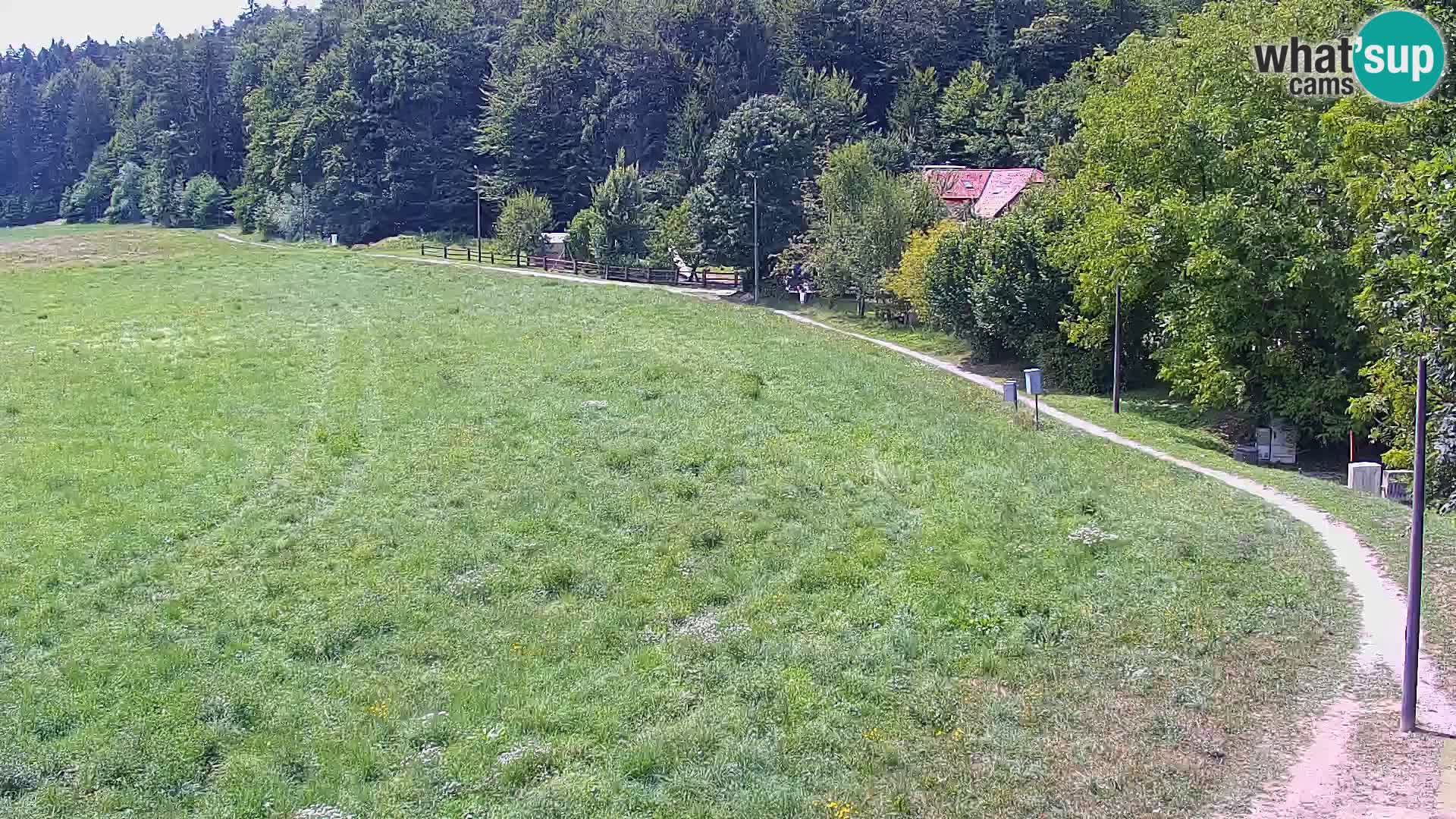 Web kamera Nordijski centar Bonovec