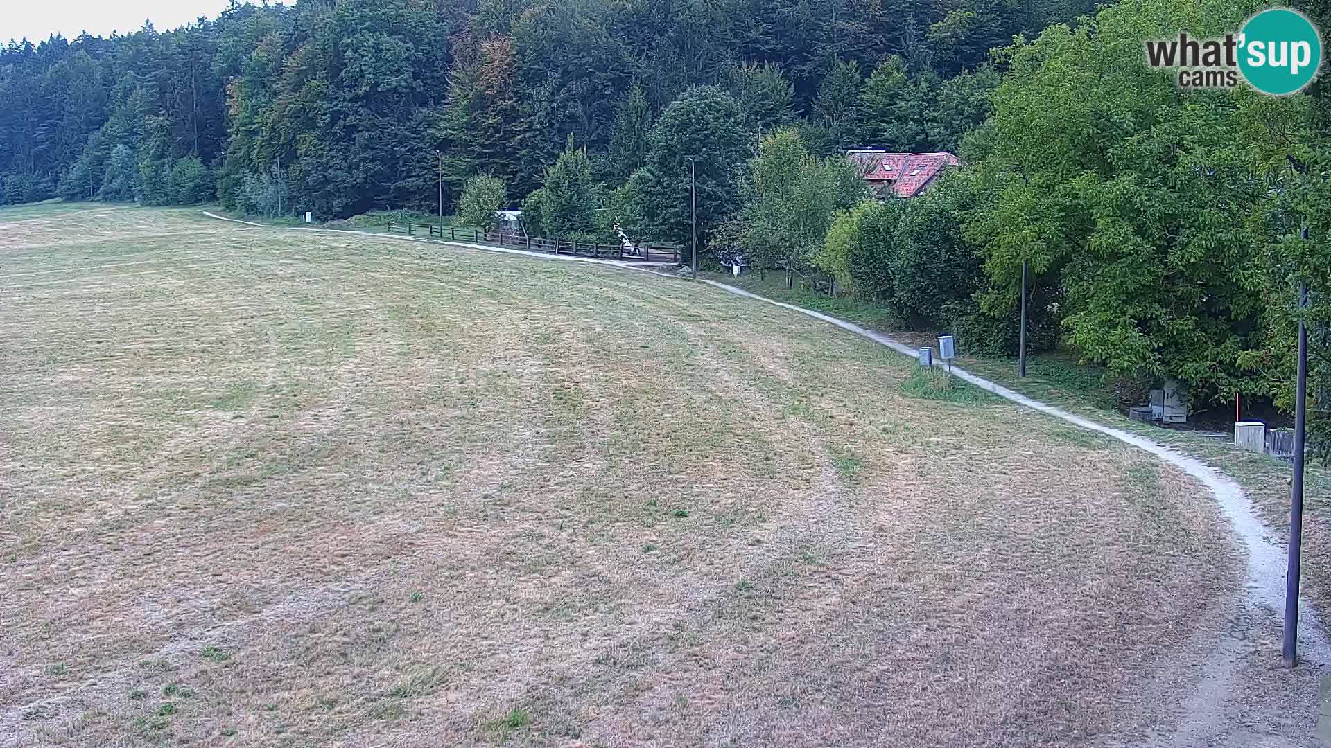 Webcam Live Nordic center Bonovec – Medvode