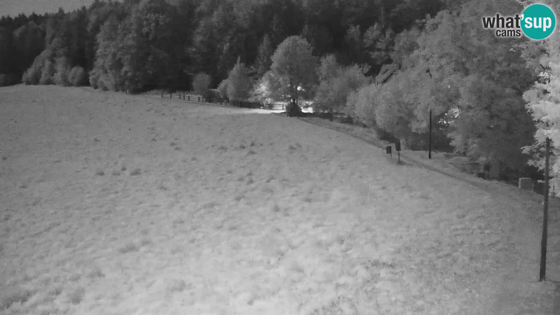 Live webcam Centro sci nordico a Bonovec