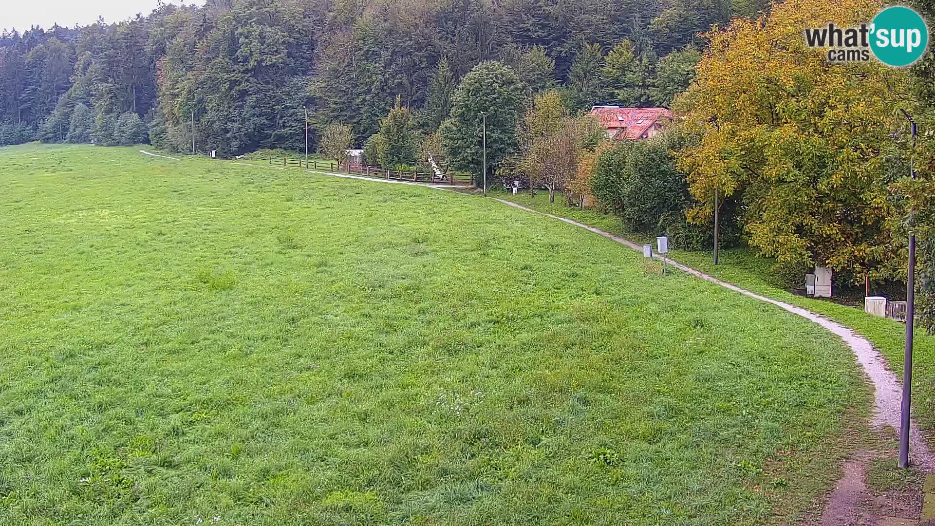 Web kamera Nordijski centar Bonovec