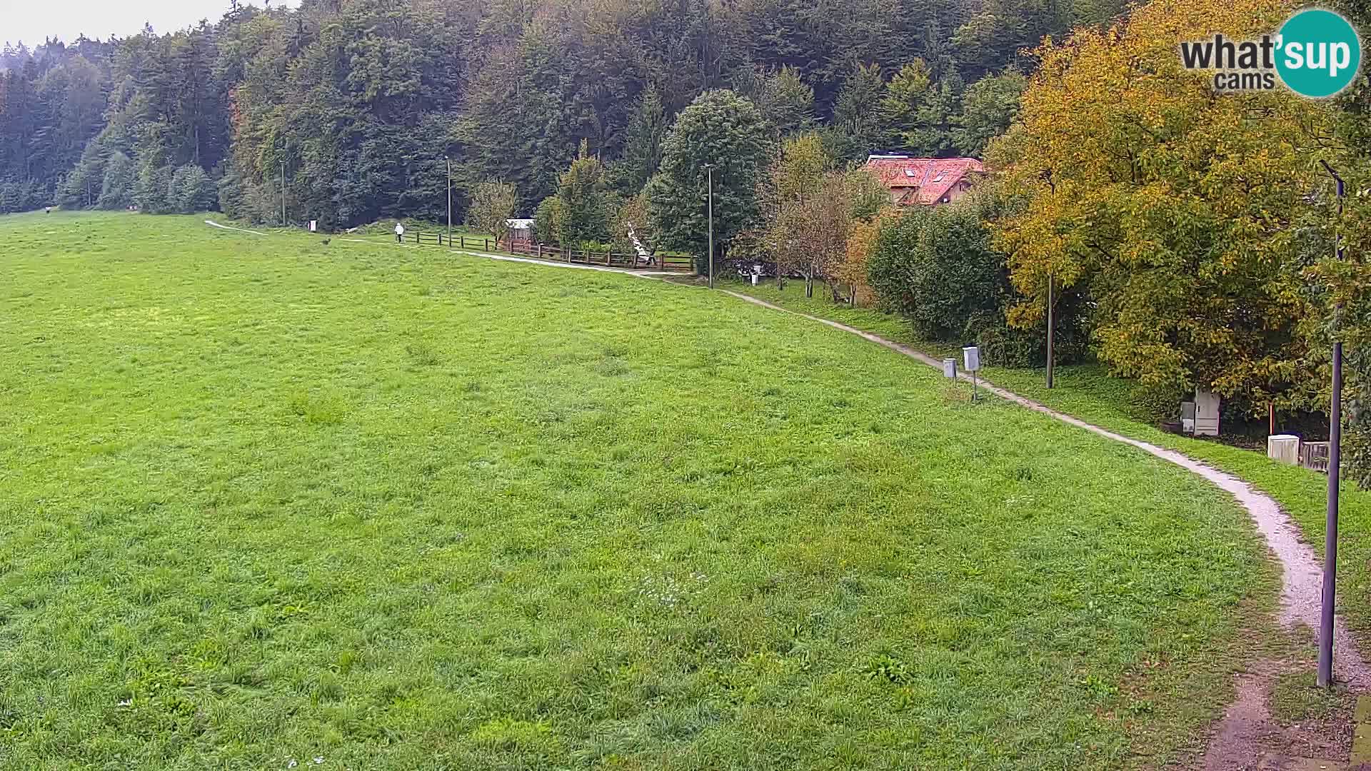 Web kamera Nordijski centar Bonovec