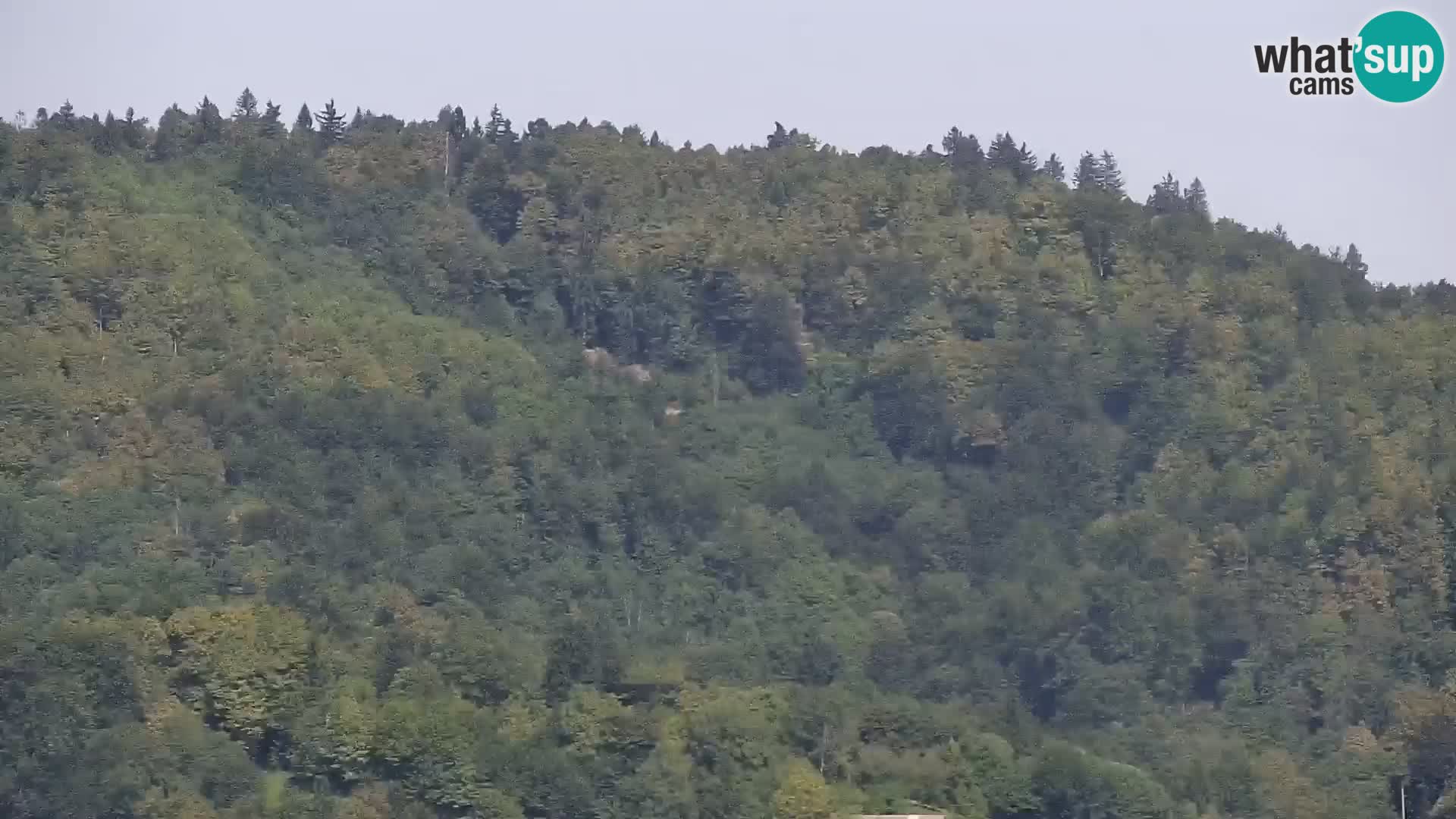 Medvode | Cerkev sv. Marjete