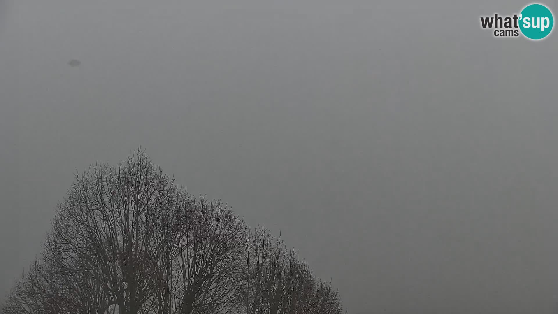 Medvode | Cerkev sv. Marjete