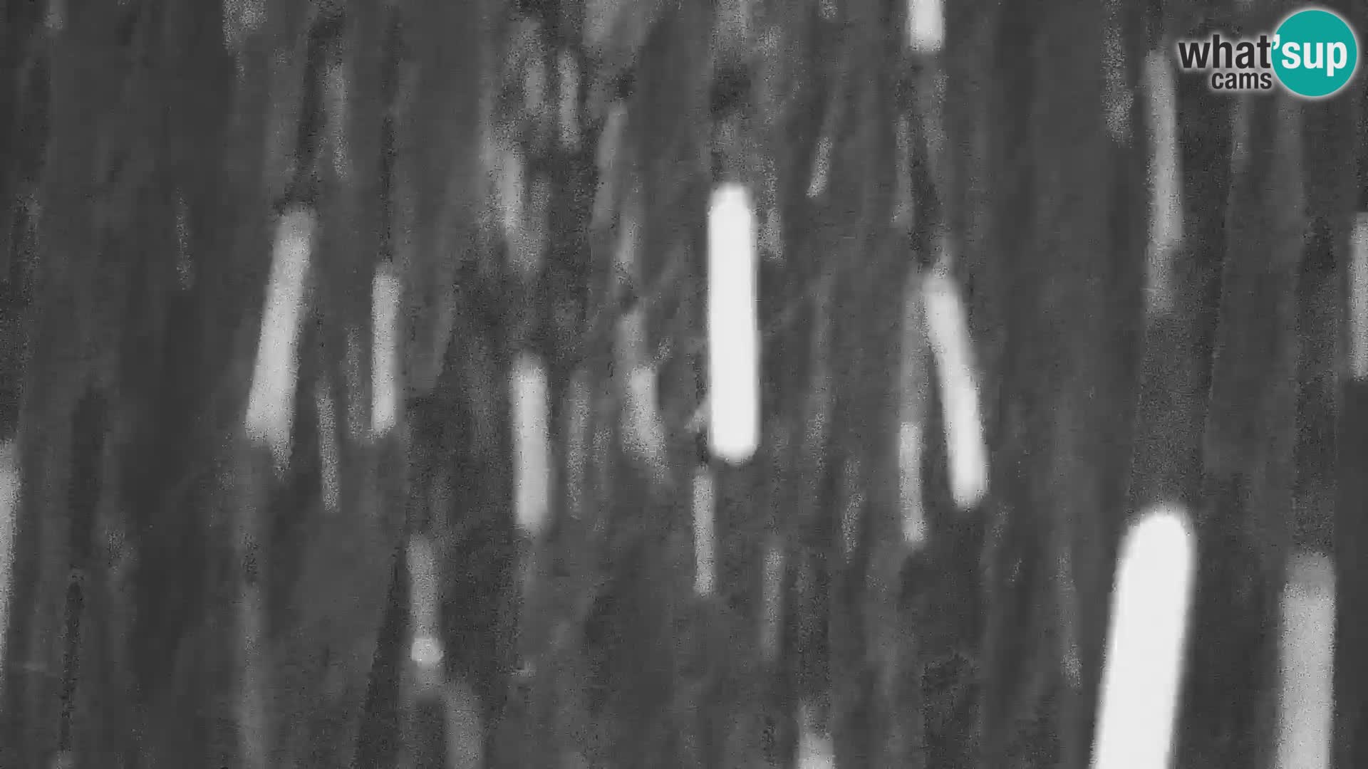 Medvode | Cerkev sv. Marjete