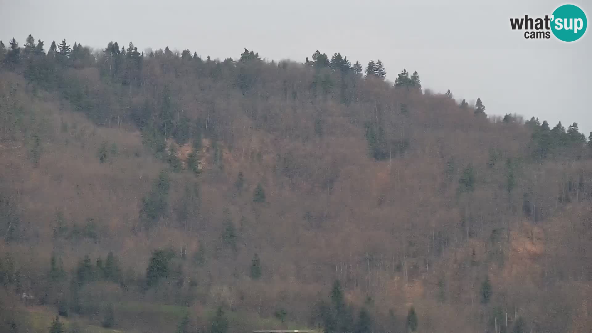 Medvode | Cerkev sv. Marjete