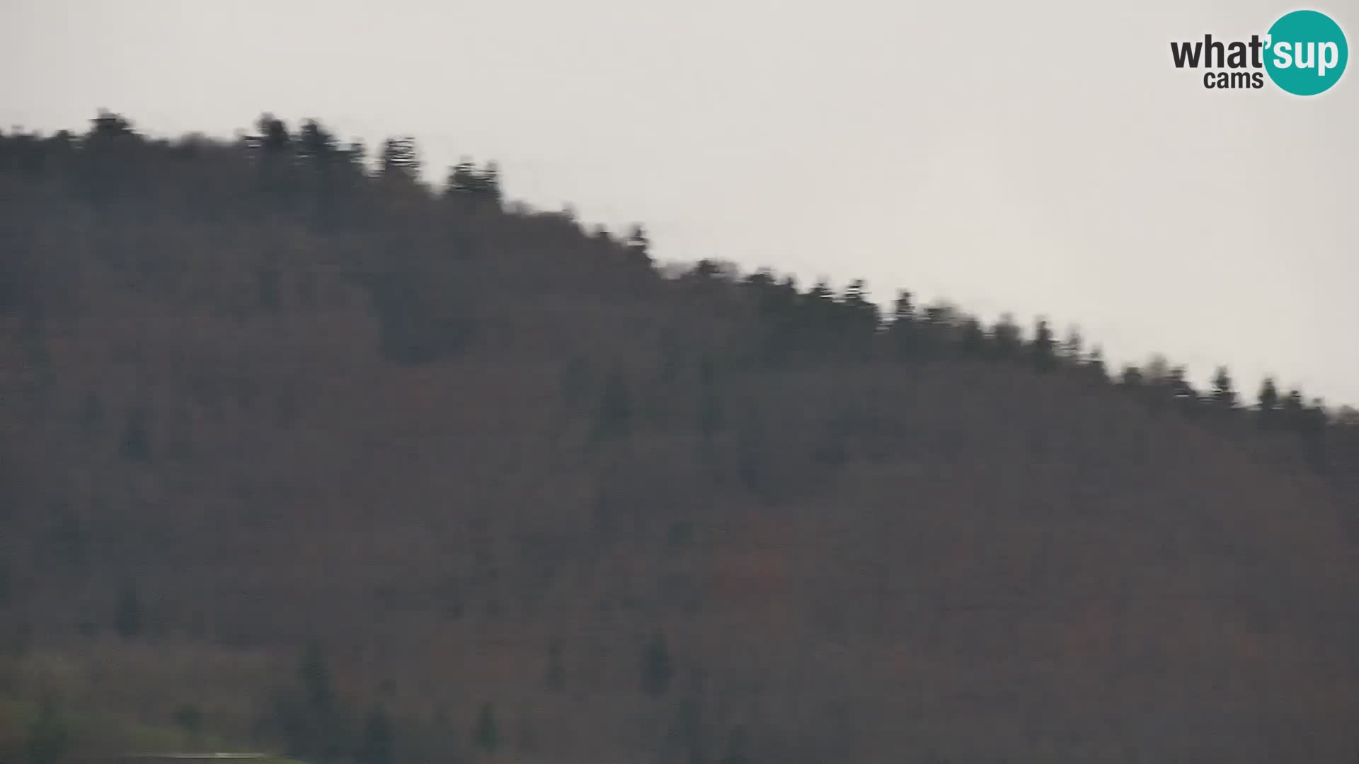 Medvode | Cerkev sv. Marjete