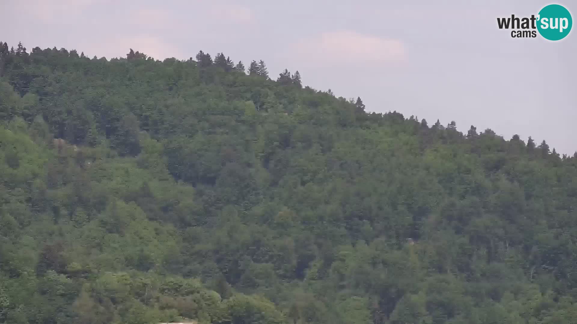 Medvode | Cerkev sv. Marjete