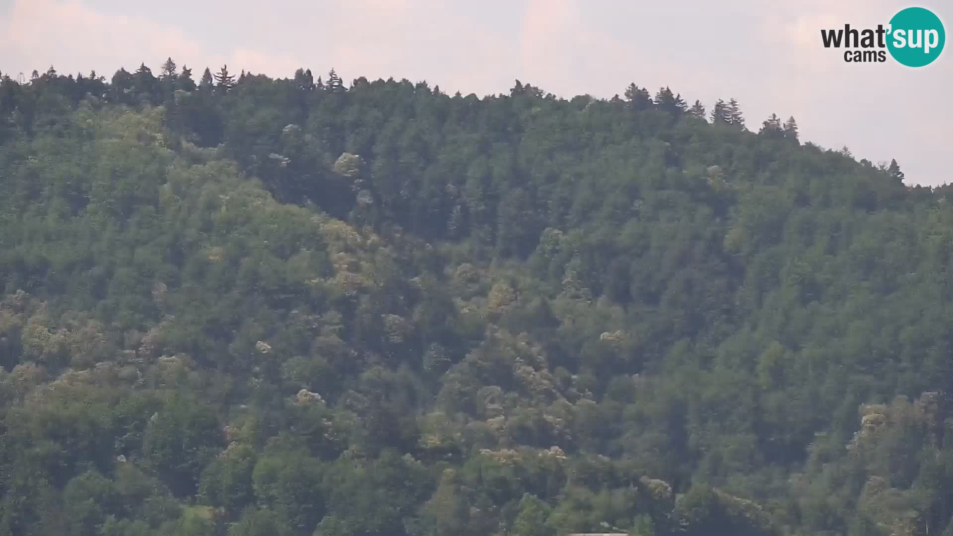 Medvode | Cerkev sv. Marjete