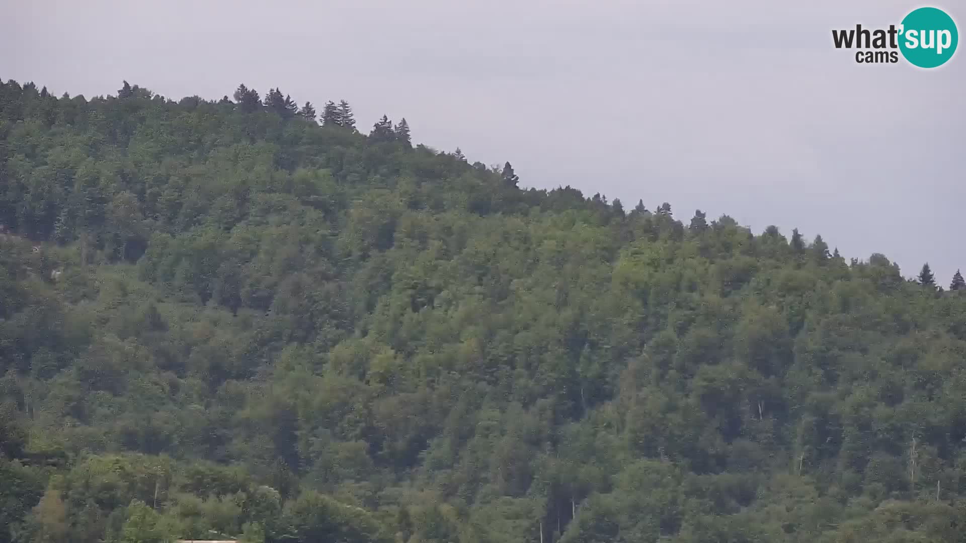 Medvode | Cerkev sv. Marjete