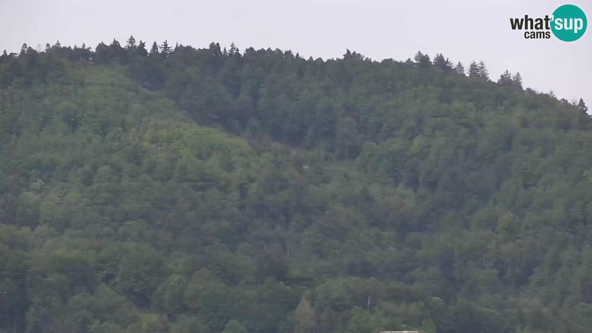 Medvode | Cerkev sv. Marjete