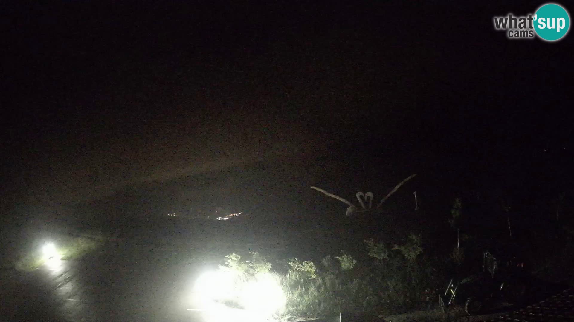 Granja turística Široko camera en vivo Most na Soči
