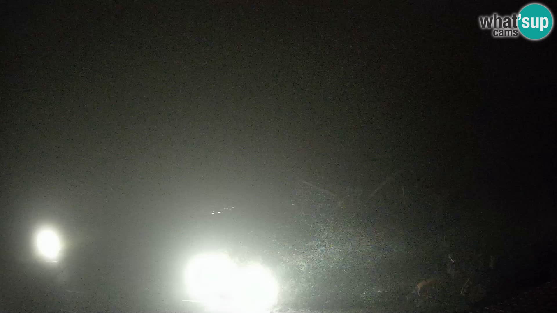 Granja turística Široko camera en vivo Most na Soči