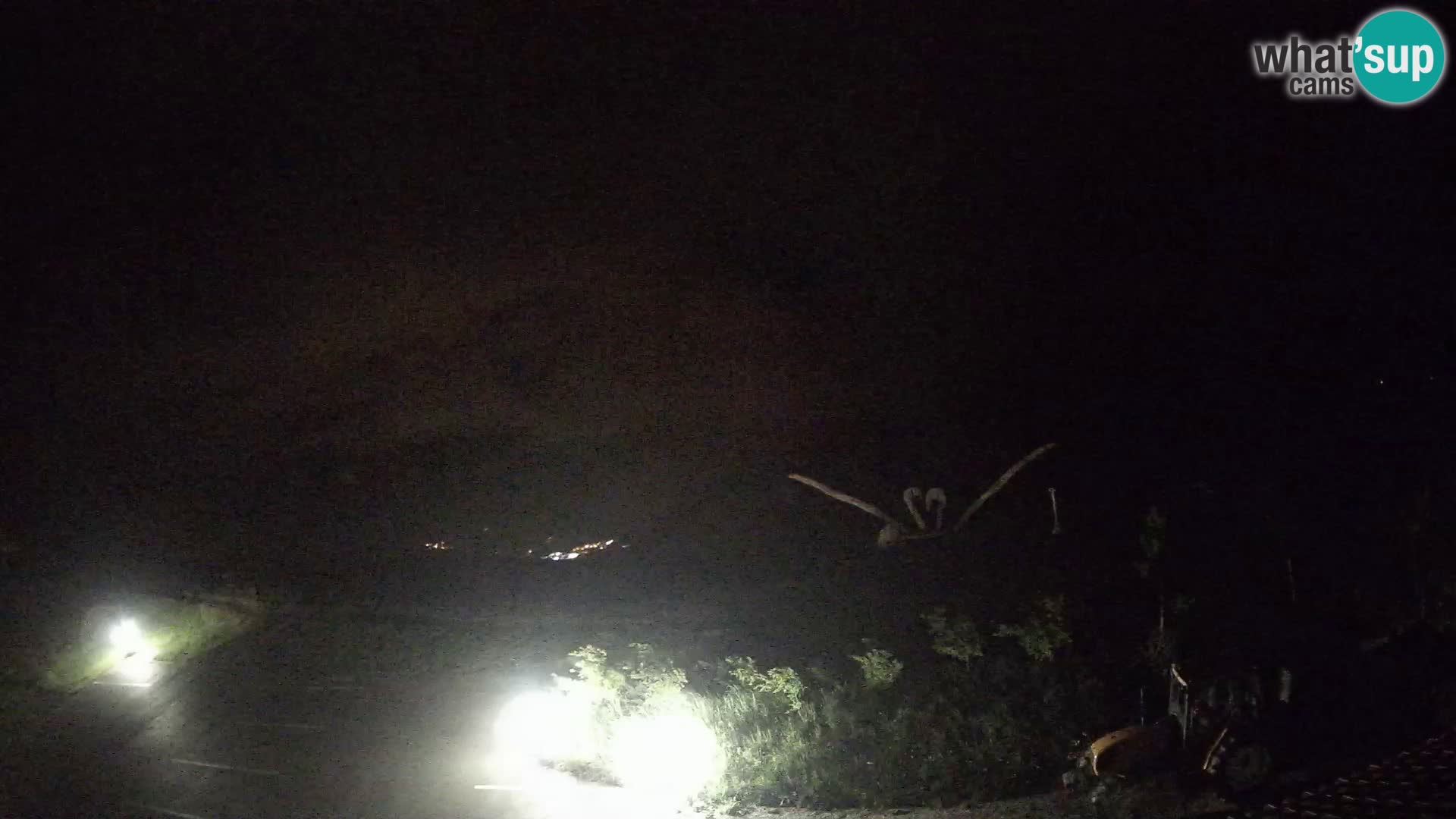 Granja turística Široko camera en vivo Most na Soči