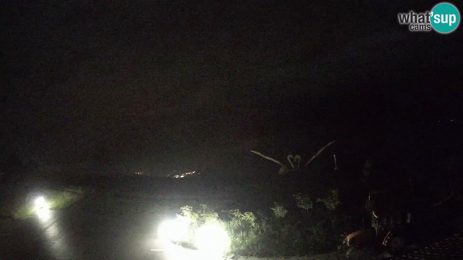 Ferme touristique Široko Livecam Most na Soči