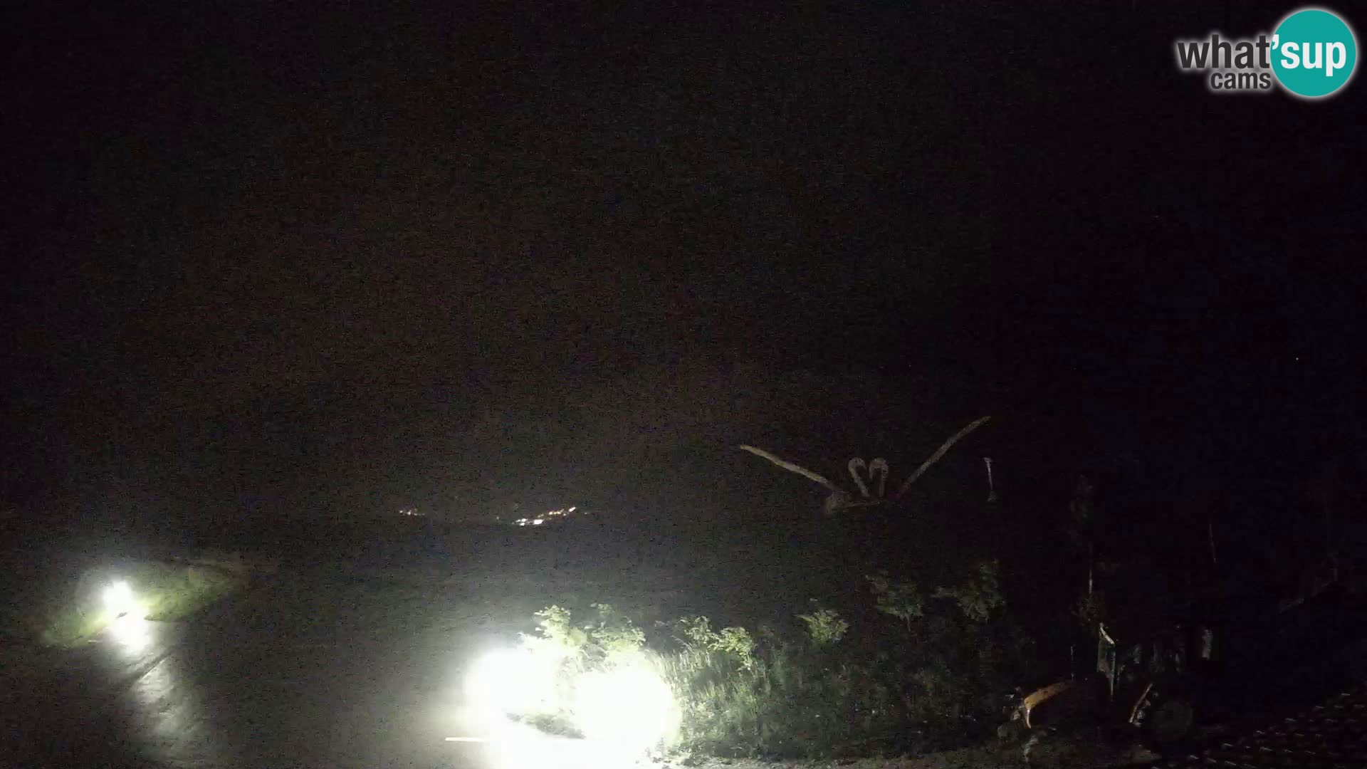 Ferme touristique Široko Livecam Most na Soči