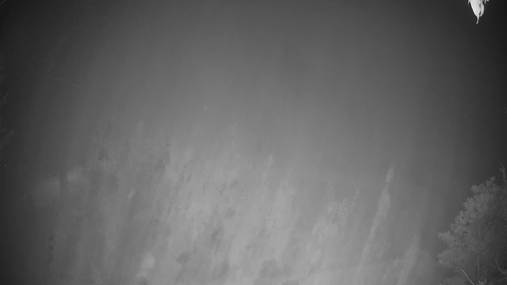 Kromberk Castle – Nova Gorica