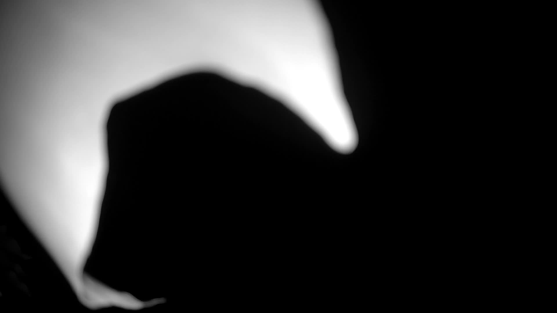 Château de Kromberk – Nova Gorica