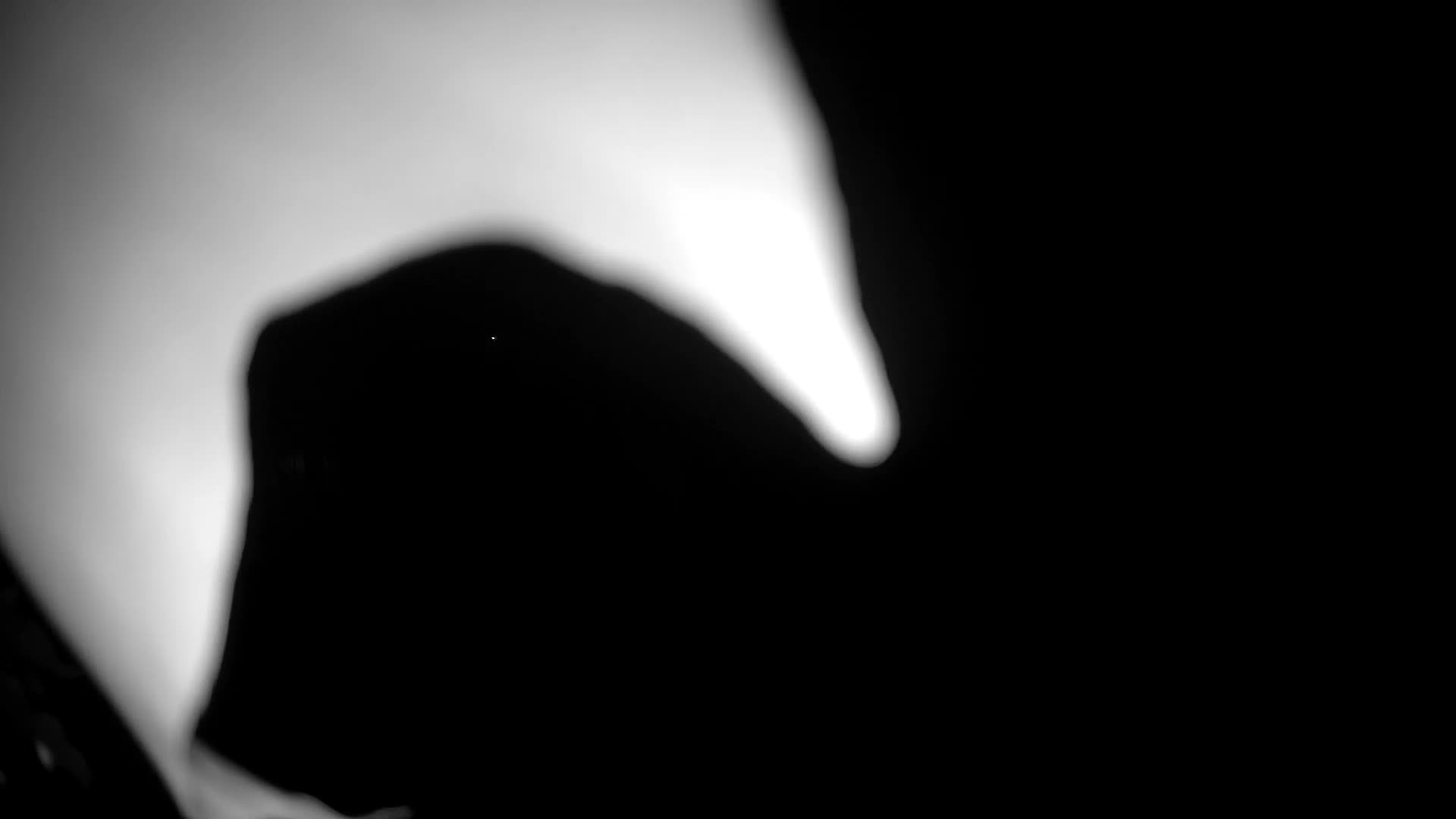 Kromberk Castle – Nova Gorica