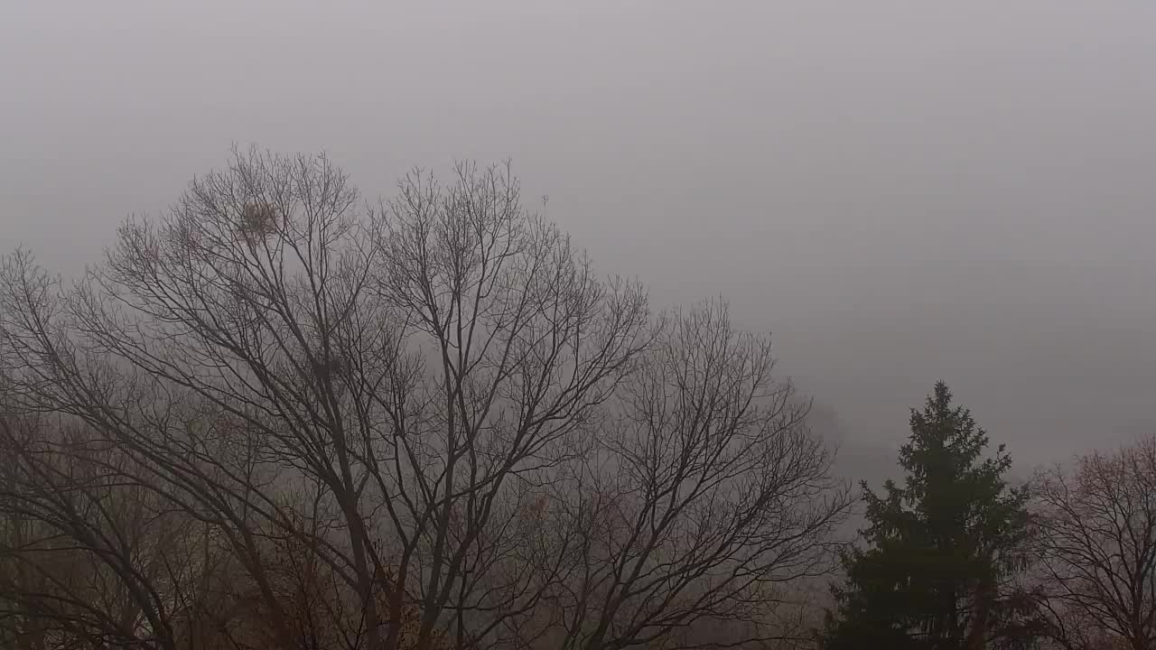 Nova Gorica and Gorizia: Stunning Views from Kostanjevica Franciscan Monaster