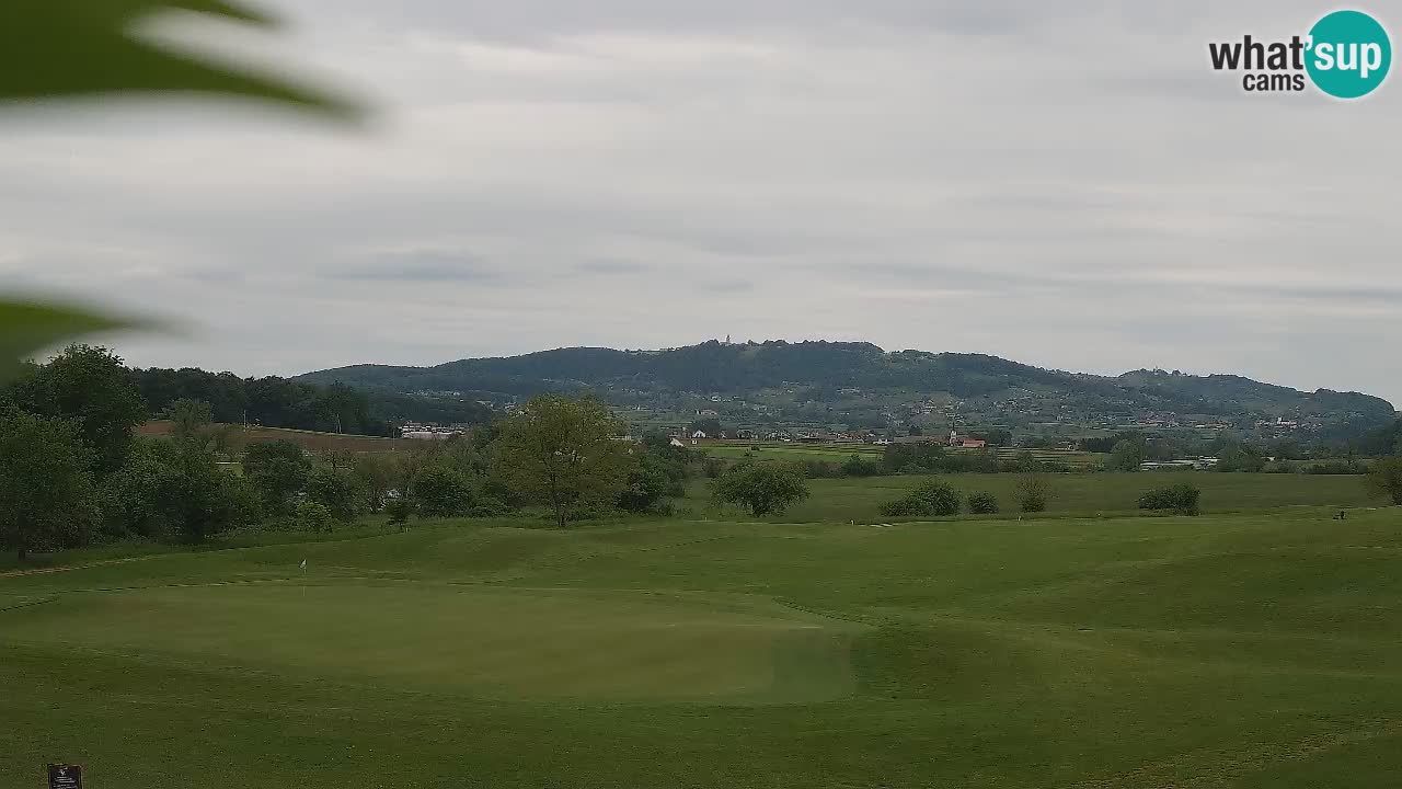 Experience Stunning Golf Views with Webcam at Golf Grad Otočec