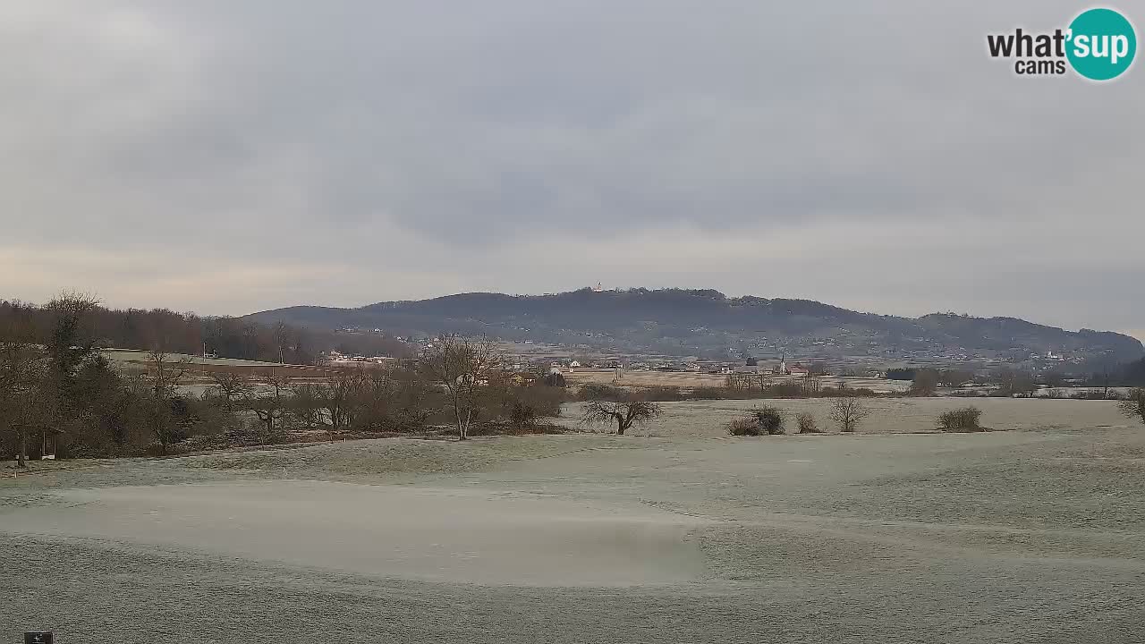 La webcam du Golf Grad Otočec – Terme Krka – Slovenie