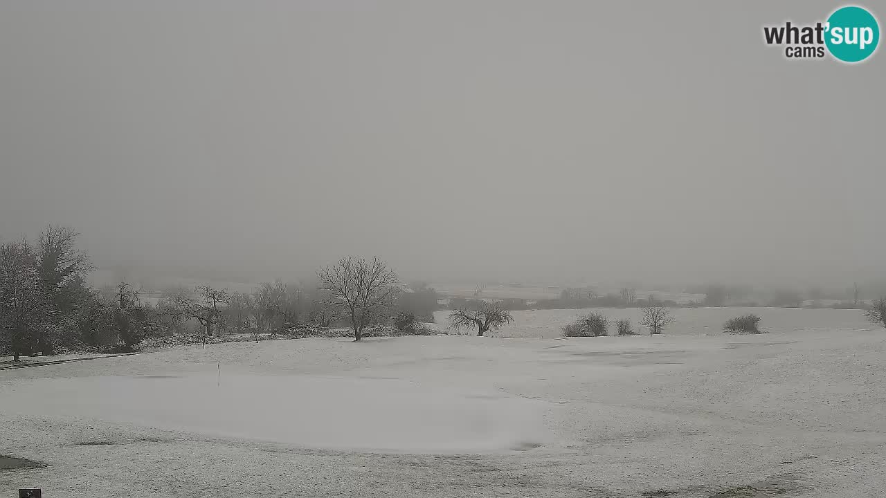 Experience Stunning Golf Views with Webcam at Golf Grad Otočec