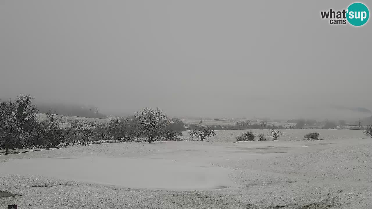 Experience Stunning Golf Views with Webcam at Golf Grad Otočec