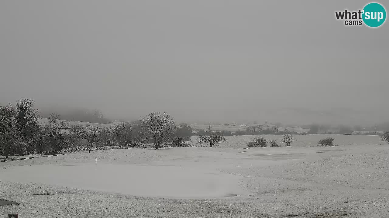 Experience Stunning Golf Views with Webcam at Golf Grad Otočec