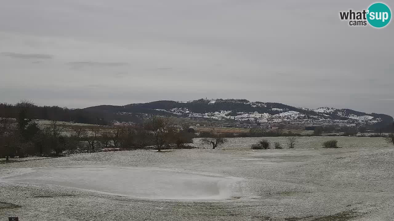 Experience Stunning Golf Views with Webcam at Golf Grad Otočec