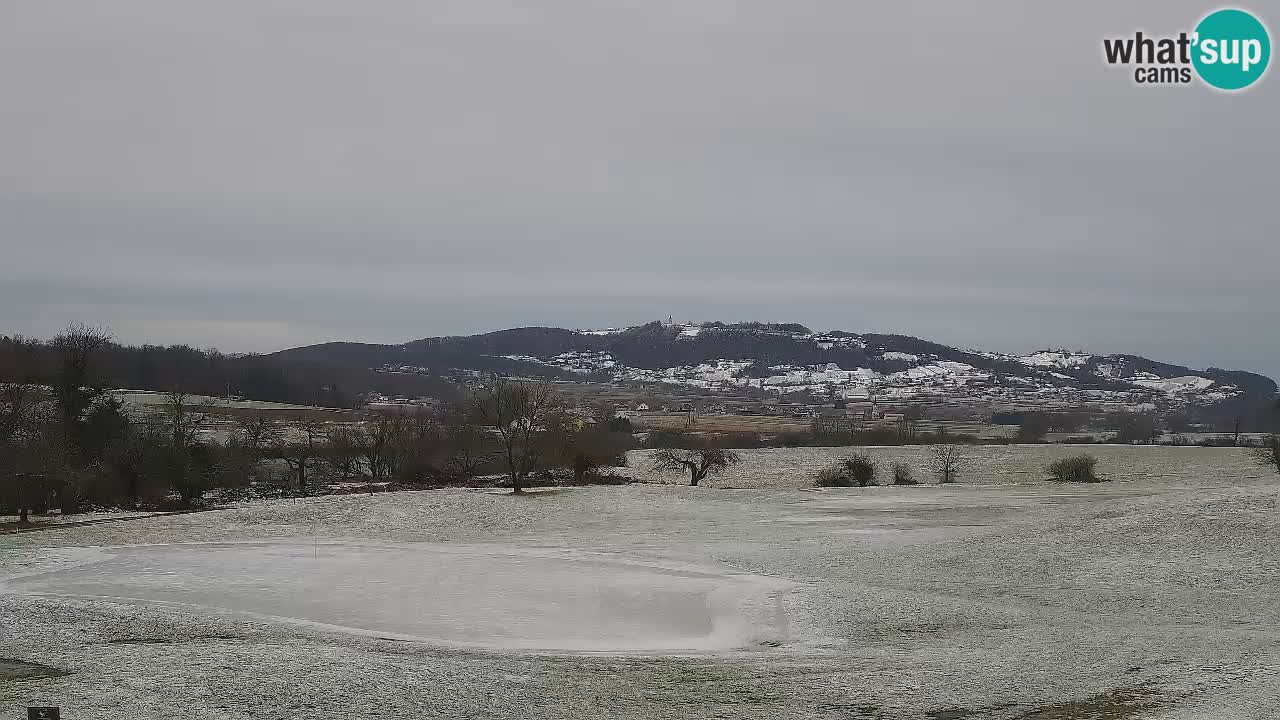 Experience Stunning Golf Views with Webcam at Golf Grad Otočec