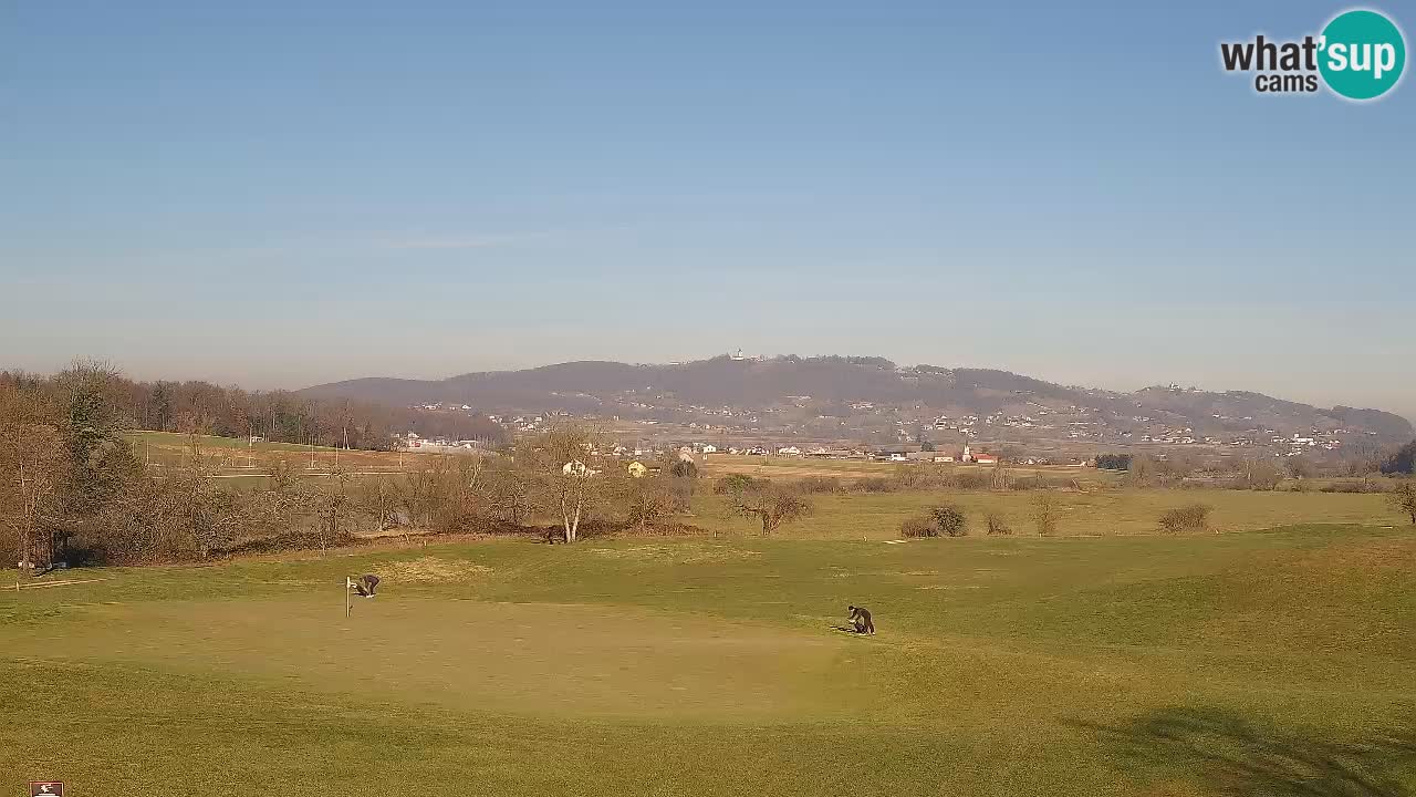 La webcam du Golf Grad Otočec – Terme Krka – Slovenie