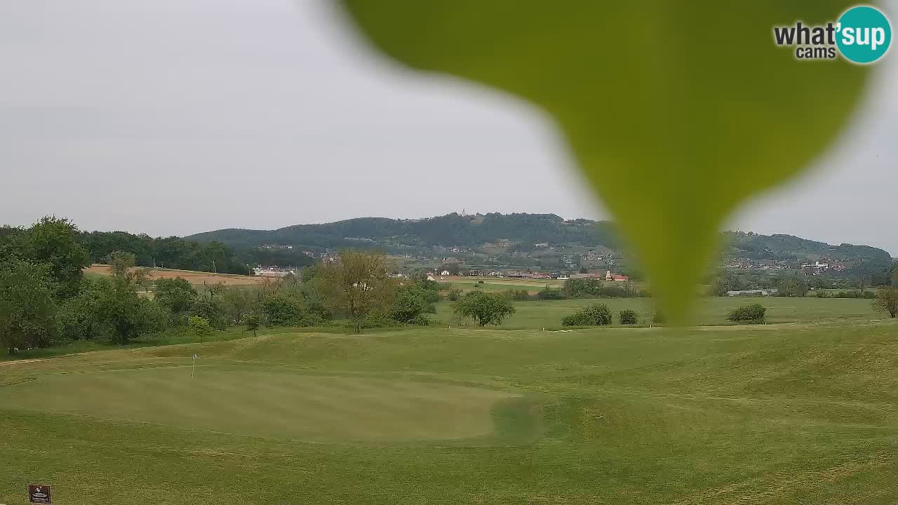 Spletne kamera  Golf Grad Otočec – Terme Krka