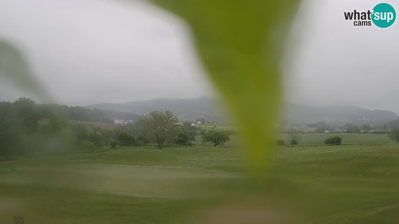 Camera en Vivo Golf Grad Otočec – Terme Krka – Eslovenia