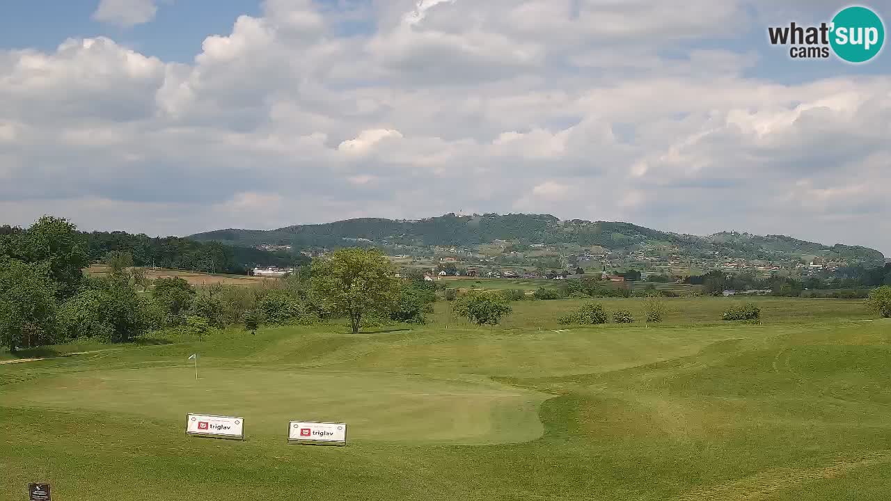 Experience Stunning Golf Views with Webcam at Golf Grad Otočec