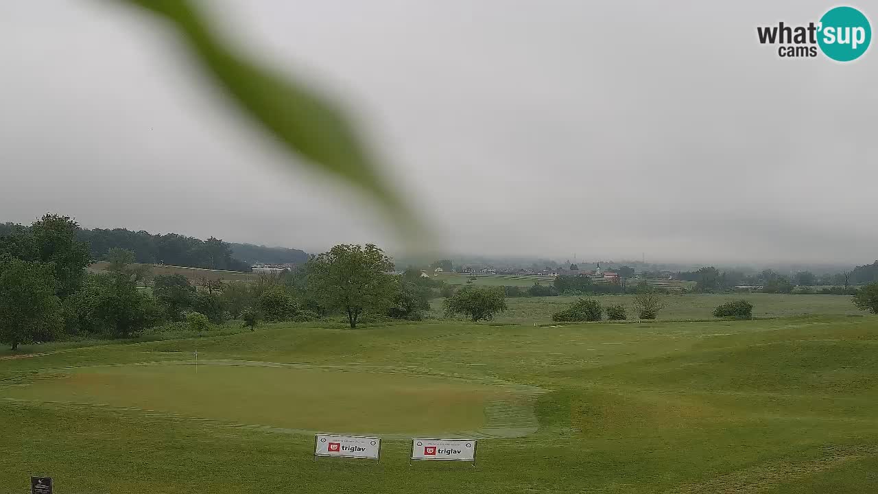 Spletne kamera  Golf Grad Otočec – Terme Krka