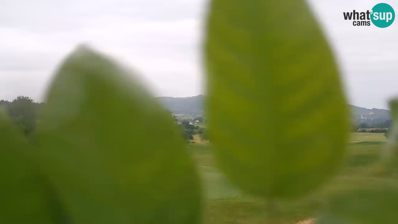 La webcam du Golf Grad Otočec – Terme Krka – Slovenie